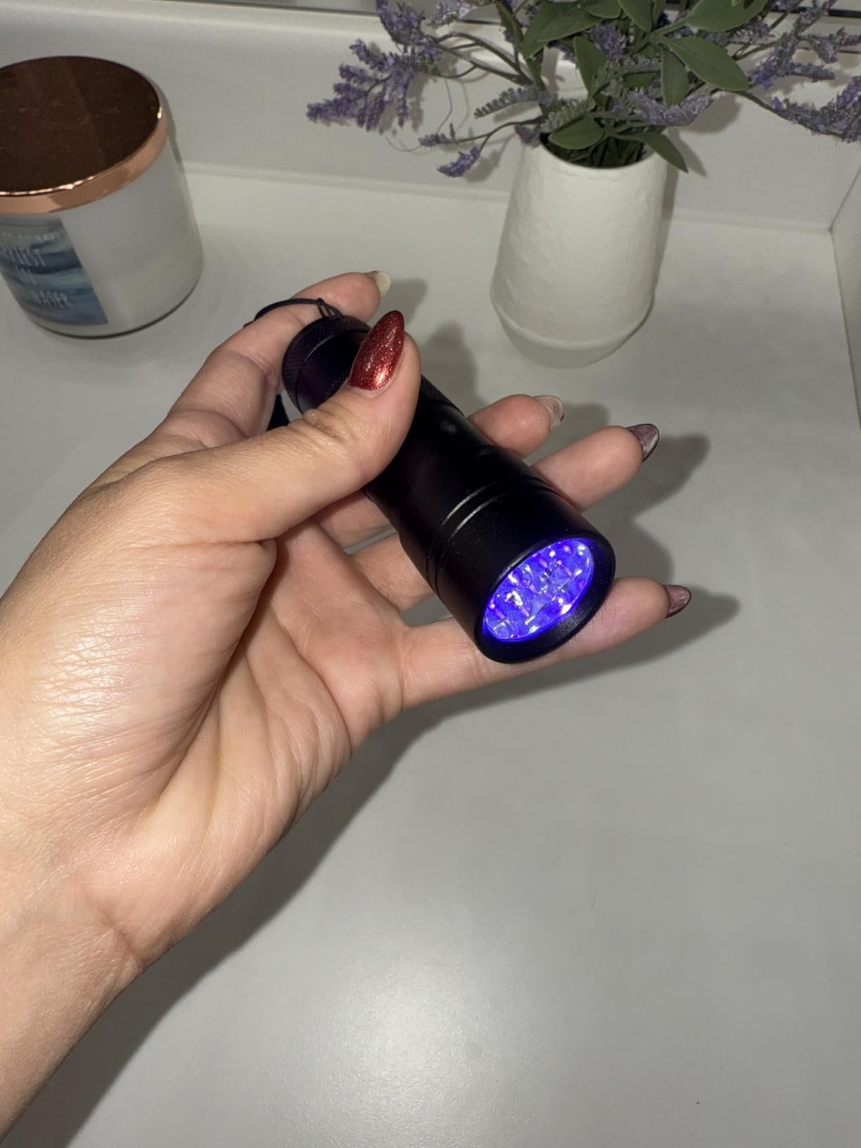 black light for pet urine detection