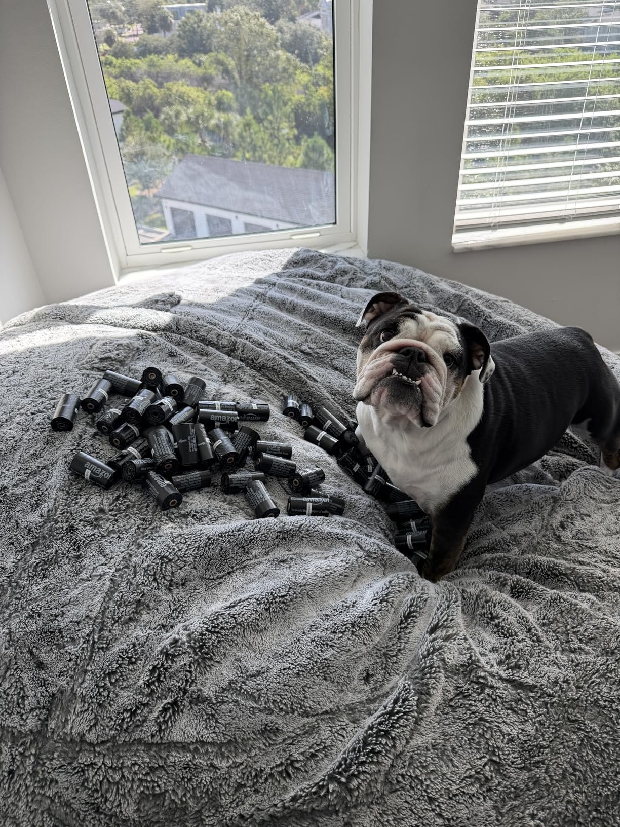 The Ultimate Walk-Time Upgrade: 300 Bags of Leakproof Confidence, Right on Your Leash