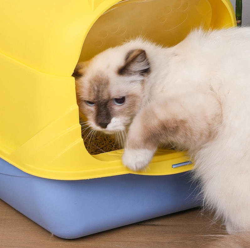 The SITABI Sanctuary: The World’s First UV-Sanitizing, Splash-Proof Litter Box – Where Hygiene Meets Peace of Mind