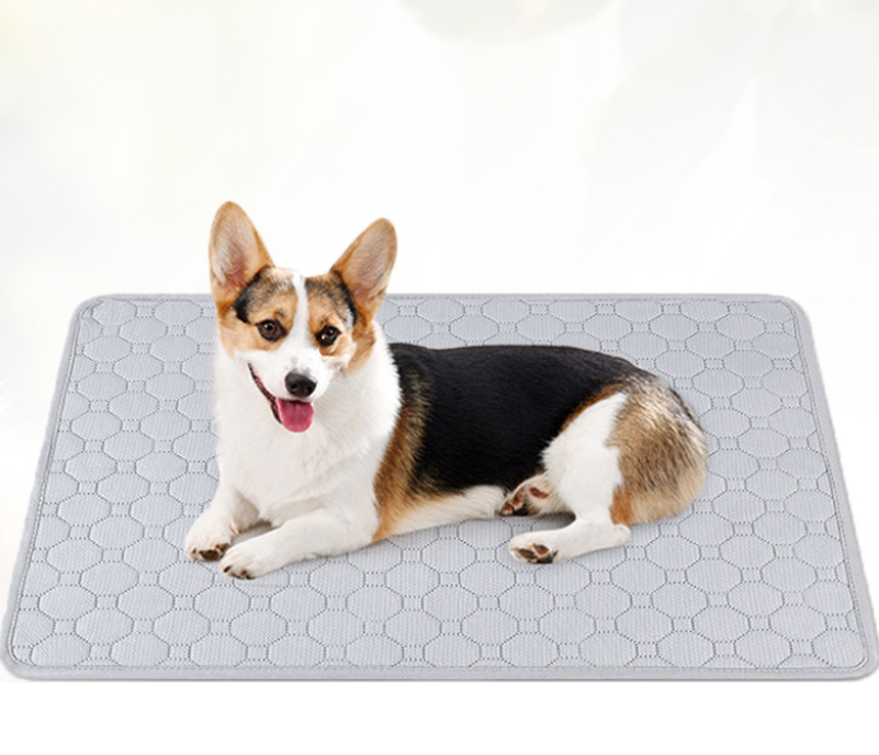 SITABI O-Beco: The Washable, Non-Slip Pet Pad That Ends the Disposable Era Forever