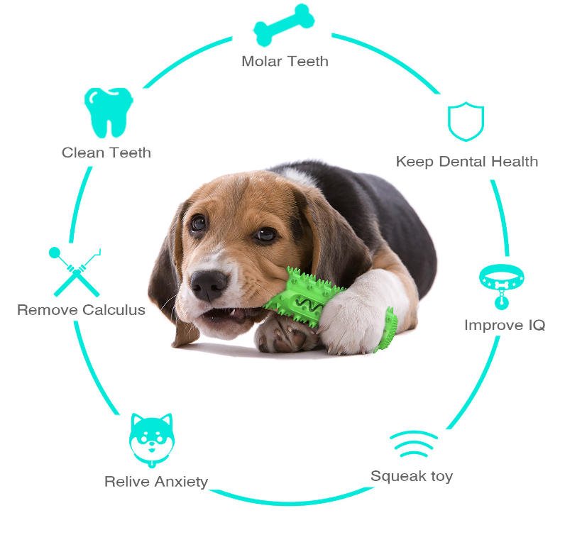 The Ultimate All-in-One Solution: The SITABI Dental & Mental Stimulation Chew Toy
