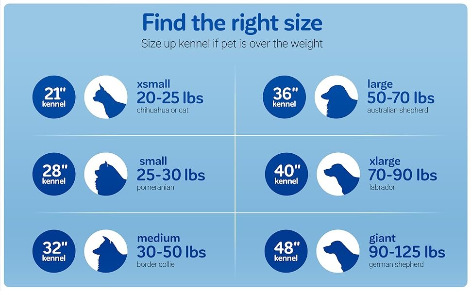 Sky Kennel: Your Pet’s First-Class Ticket to the World