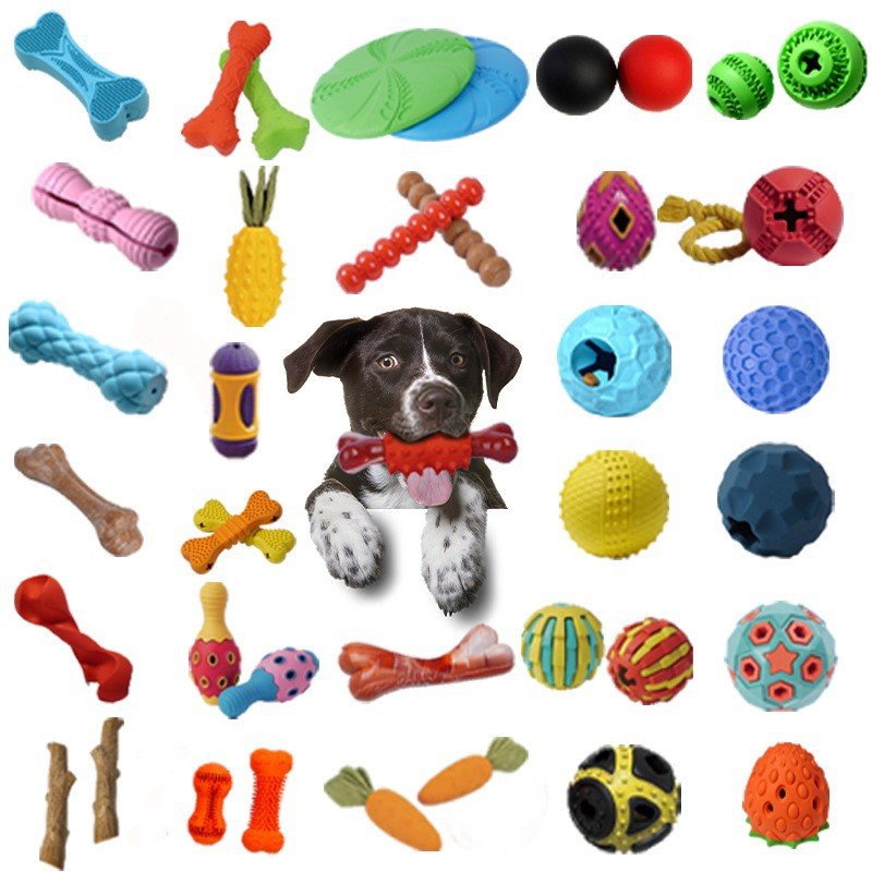 The Unchewable Symphony: Crafting Canine Joy with SITABI’s Custom TPR Dog Toys