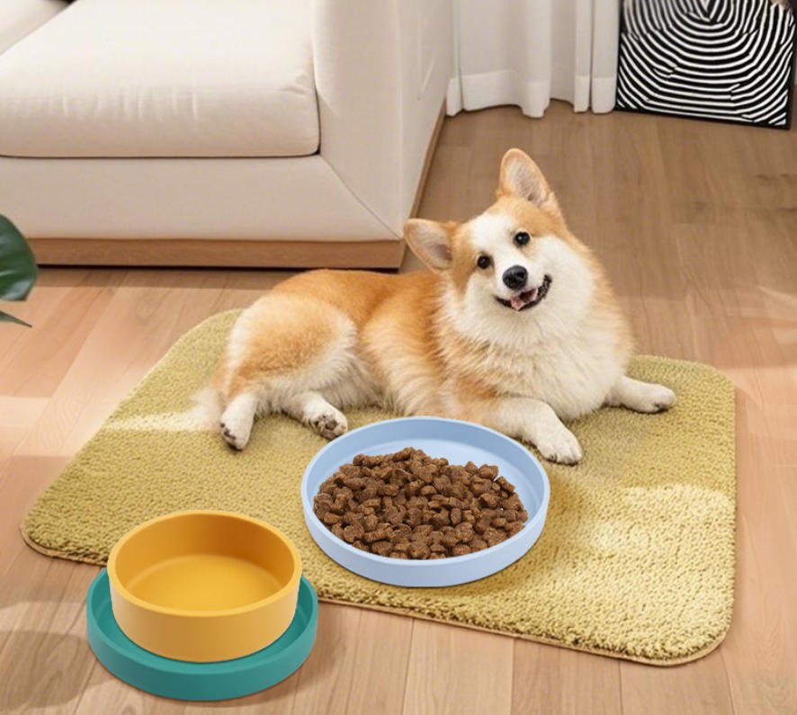 The Unbreakable Bond Begins at the Bowl: Introducing the SITABI Silicone Feeder