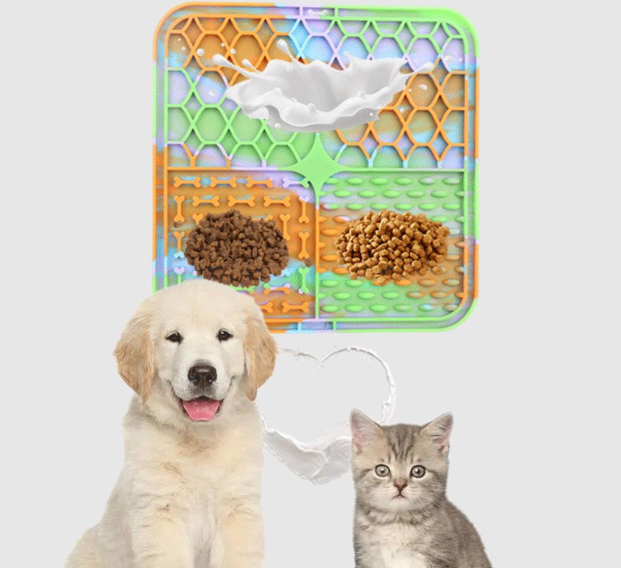 The Secret to a Happier, Healthier Dog? It Might Just Be a Lick.