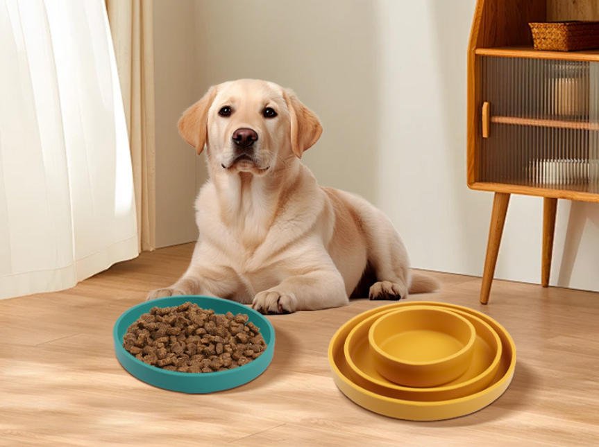 The Ultimate Feeding Solution: Why the New Silicone Round Pet Bowl is a Game-Changer for Your Furry Friend