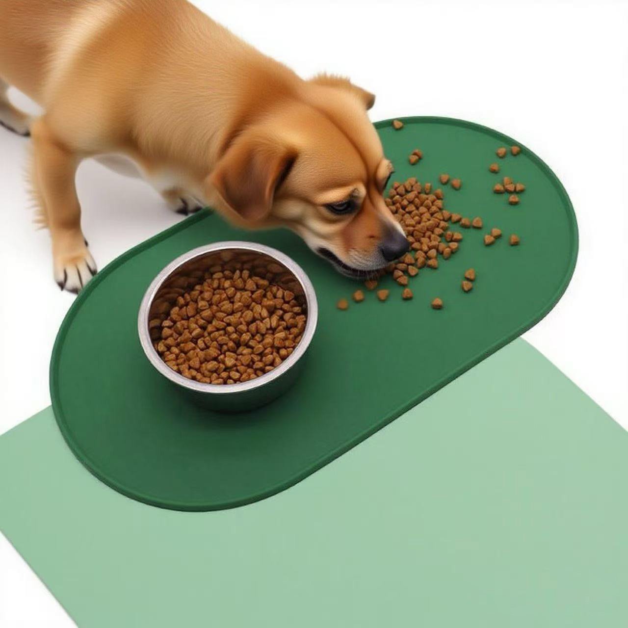 The Silent Mess: Why Your Pet’s Feeding Station is a Bacteria Hotspot and How the SITABI Silicone Mat Solves It