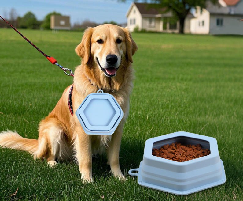 The Ultimate Road Trip Companion: Why the SITABI Foldable Silicone Pet Bowl is a Must-Have for Modern Pet Parents