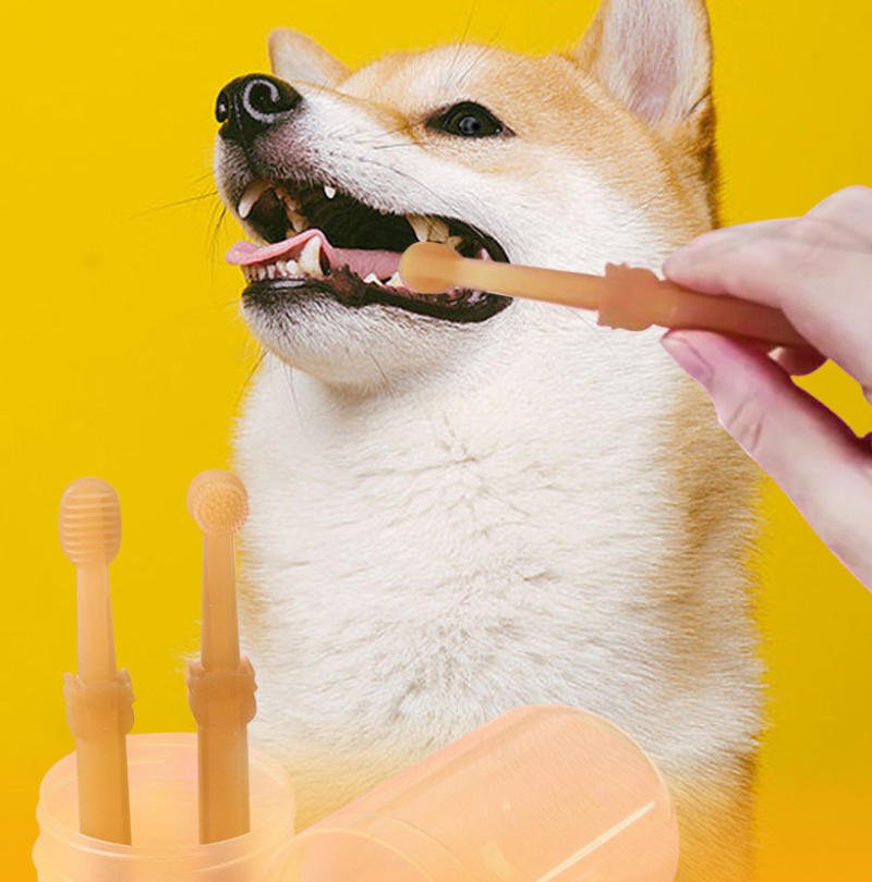 The Hidden Epidemic: Why Your Pet’s Bad Breath is a Cry for Help and How the SITABI Silicone Toothbrush Set is the Answer