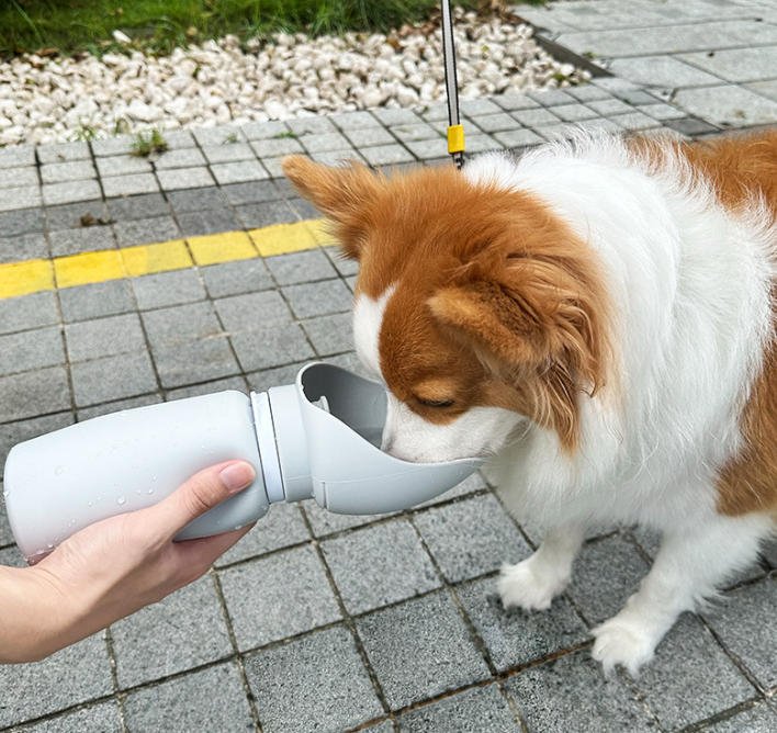 Foldable Portable Dog Water Bottle