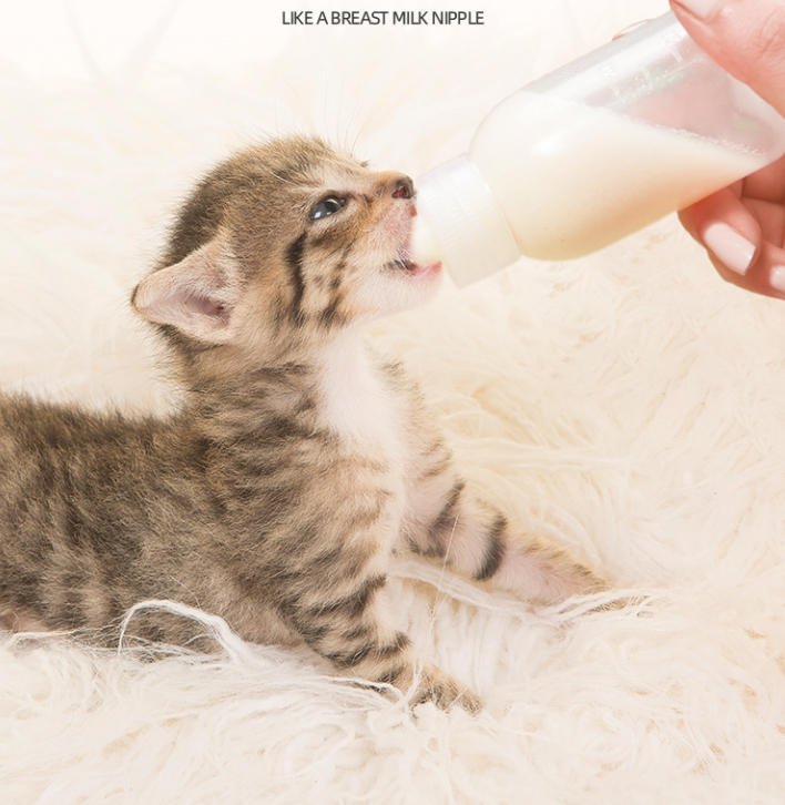 Why the Right Bottle Changes Everything: Nurturing Newborn Kittens, Puppies & Orphaned Litters with SITABI’s 60ml Silicone Nursing Bottle