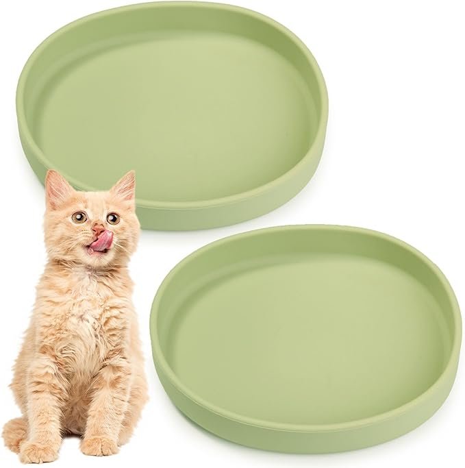 The Bowl That Respects Your Pet: Why This Shallow Silicone Plate Is a Game-Changer for Cats and Small Dogs